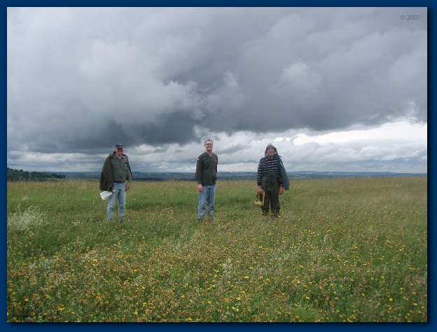 600x449 pixels (121K)